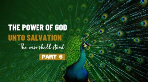 CREATION SALVATION