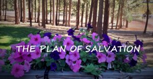 The Plan of Salvation