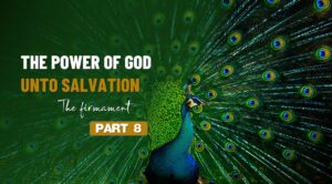 Creation and Salvation