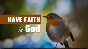 HAVE FAITH IN GOD
