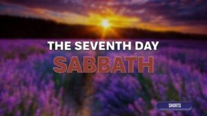 THE SEVENTH DAY