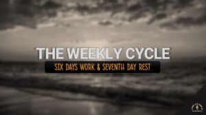 SUCCESSIVE WEEKLY CYCLE