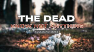 THE DEAD KNOW NOT ANYTHING