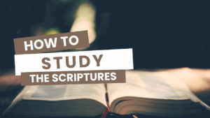 HOW TO STUDAY THE SCRIPTURE